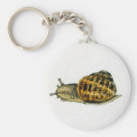 Snail (2) keychain