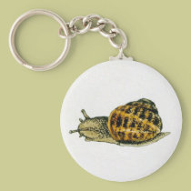 Snail (2) keychain keychains