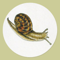 Snail (2) stickers