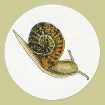 Snail (4) stickers