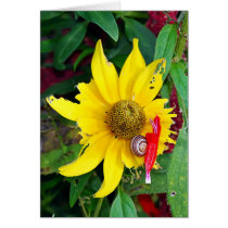 Snail and Blossom cards by EarthSmiles Snail and Blossom cards
