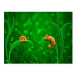Snail and Chameleon Post Cards