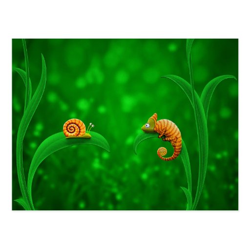 Snail and Chameleon Post Cards