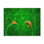 Snail and Chameleon Post Cards