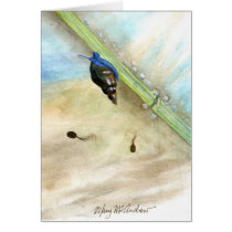 "Snail and Tadpoles" Greeting Cards