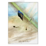 "Snail and Tadpoles" Greeting Cards