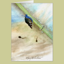 "Snail and Tadpoles" cards