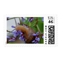 Snail Animal Postage Stamp