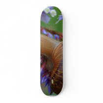 Snail Animal skateboards
