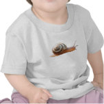 Snail ~ Baby T Tshirt