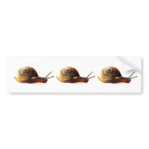 Snail bumper stickers