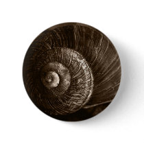 Snail buttons