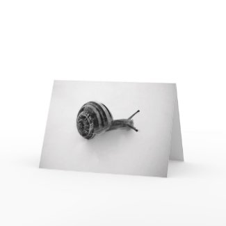snail card