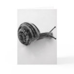 Snail Greeting Card