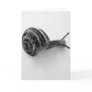Snail Greeting Card