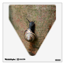 Snail caution sign Wall Decal