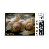 Snail Conga postage