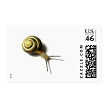 SNAIL FROM JUNGLEWALK.COM POSTAGE