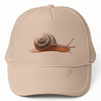 Snail hat