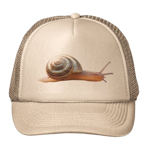 Snail hat Zazzle