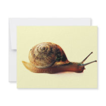 Snail invitations by dinatemraz Snail invitations