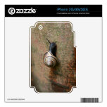 Snail iPhone 2G/3G/3GS skin Skin For The iPhone 3