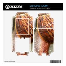 Snail LG Rumor Skin