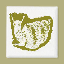 Snail Magnet magnets