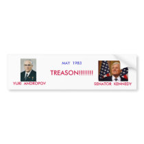 SNAIL MAIL bumper stickers