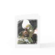 Snail Mail cards