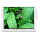 snail-mail cards