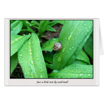 snail-mail cards