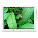 snail-mail cards
