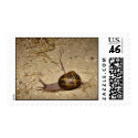 Snail mail postage
