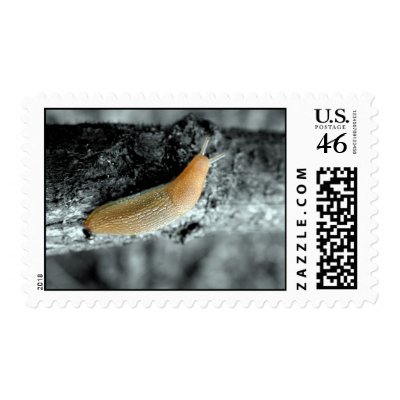 Snail Mail? Postage Stamp by Brian_Simes