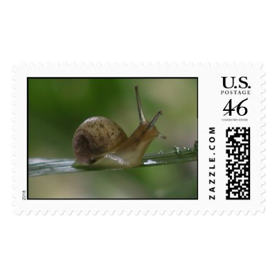 Snail Mail Postage Stamp by jereeb