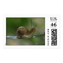 Snail Mail postage
