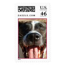 Snail Mail postage