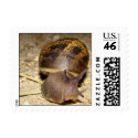 Snail Mail postage