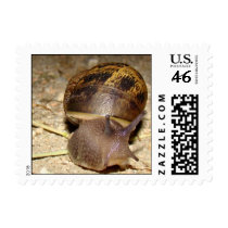 Snail Mail postage by MidnghtSamantha Snail Mail postage