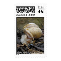 Snail Mail Postage Stamp