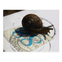 snail mail postcards