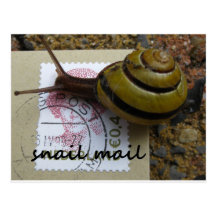 Snail mail postcards