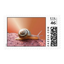 Snail Mail ~ stamp