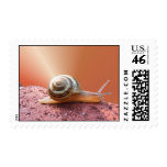 Snail Mail ~ stamp