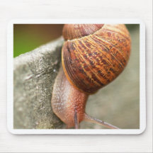 snail mouse pads
