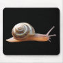 Snail on black ~ mousepad