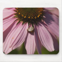 Snail on Cone Flower mousepads