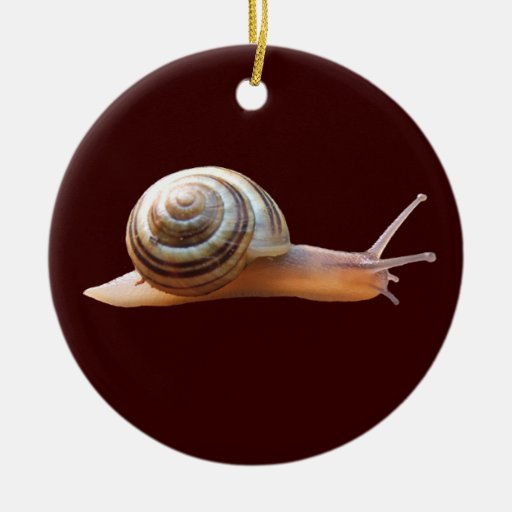 Snail ornament Zazzle