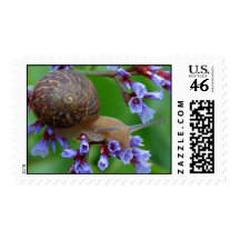 Snail Postage